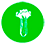 apio alérgeno alimentario